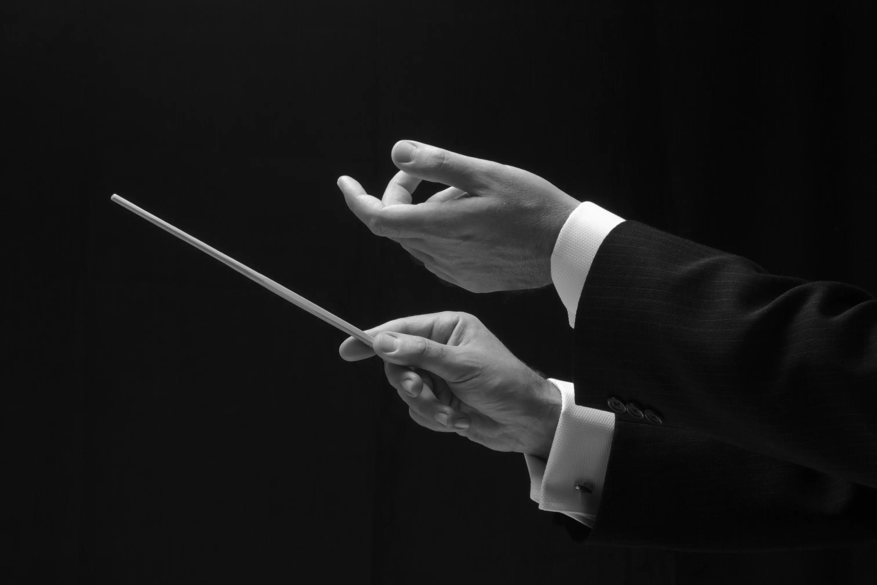 Atuação em múltiplas frentes