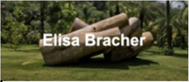 Elisa Bracher